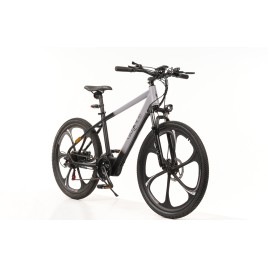 Celektron Bici Elettrica A Pedalata Assistita 250W