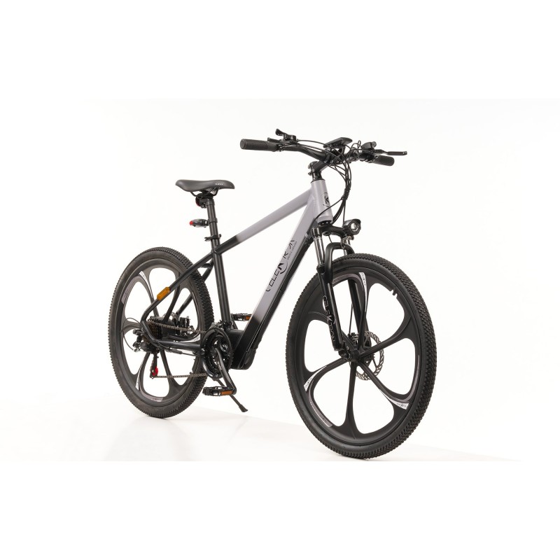 Celektron Bici Elettrica A Pedalata Assistita 250W